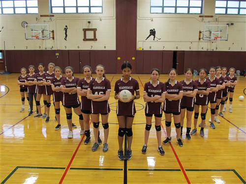 SMS volleyball 